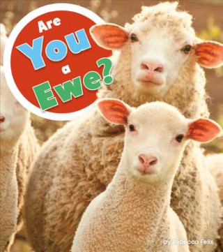 Carte Are You a Ewe? Rebecca Felix