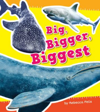 Book Big, Bigger, Biggest Rebecca Felix