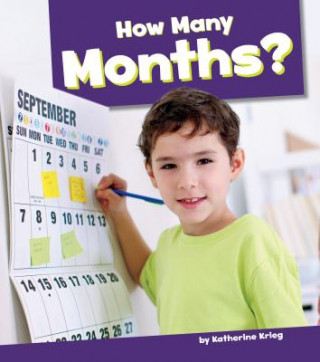 Kniha How Many Months? Katherine Krieg