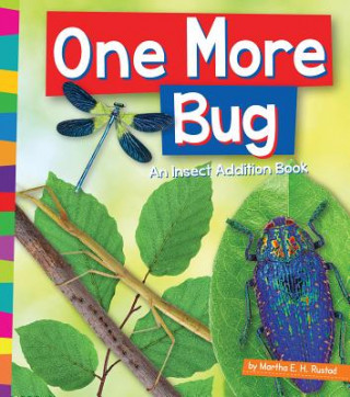 Livre One More Bug: An Insect Addition Book Martha E. H. Rustad