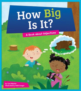 Kniha How Big Is It?: A Book about Adjectives Cari Meister