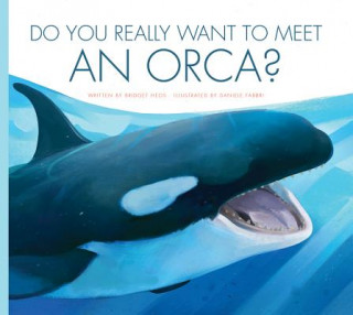 Książka Do You Really Want to Meet an Orca? Bridget Heos