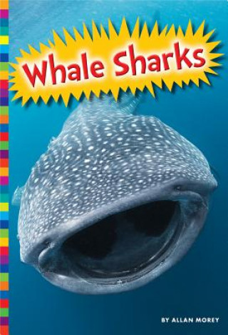 Könyv Whale Sharks Allan Morey