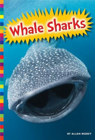 Book Whale Sharks Allan Morey