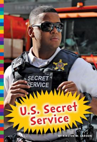 Könyv U.S. Secret Service Kirsten W. Larson