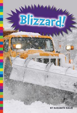 Knjiga Blizzard! Elizabeth Raum