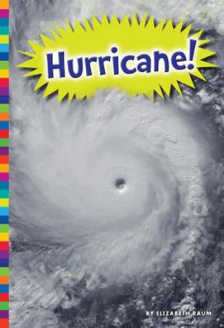 Książka Hurricane! Elizabeth Raum