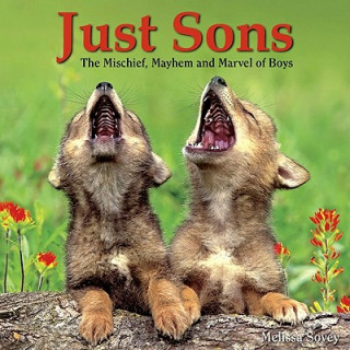 Carte Just Sons: The Mischief, Mayhem and Marvel of Boys Melissa Sovey