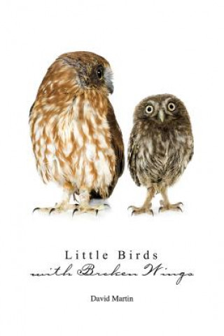 Книга Little Birds with Broken Wings David Martin