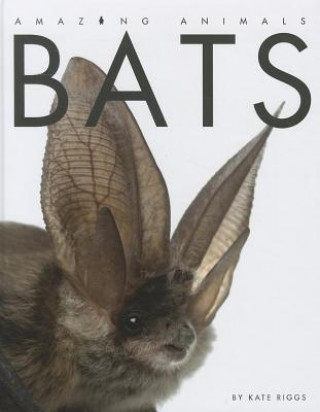 Knjiga Bats Kate Riggs