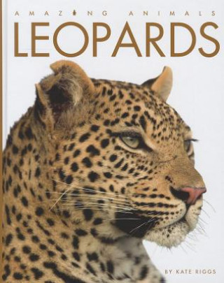 Книга Leopards Kate Riggs