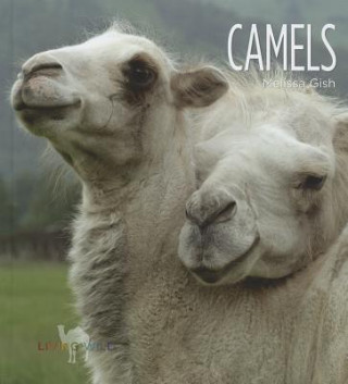 Book Camels Melissa Gish