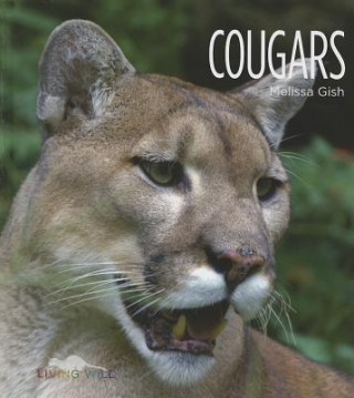 Książka Cougars Melissa Gish
