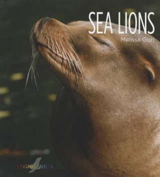 Carte Sea Lions Melissa Gish