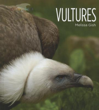 Buch Vultures Melissa Gish