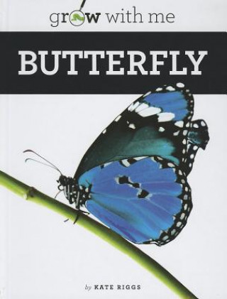 Knjiga Butterfly Kate Riggs