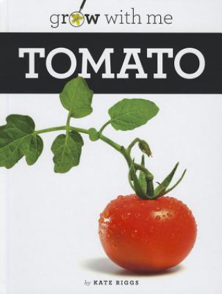 Buch Tomato Kate Riggs