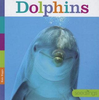 Kniha Dolphins Kate Riggs