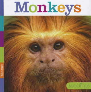Knjiga Monkeys Kate Riggs