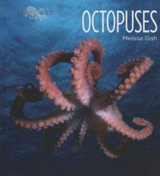 Książka Octopuses Melissa Gish