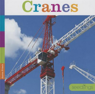 Könyv Cranes Aaron Frisch