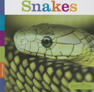 Knjiga Snakes Kate Riggs