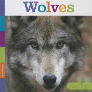 Könyv Wolves Kate Riggs