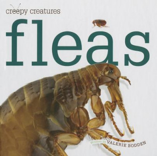 Knjiga Fleas Valerie Bodden
