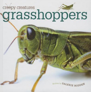 Könyv Grasshoppers Valerie Bodden