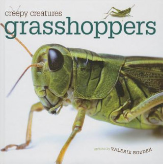 Buch Grasshoppers Valerie Bodden