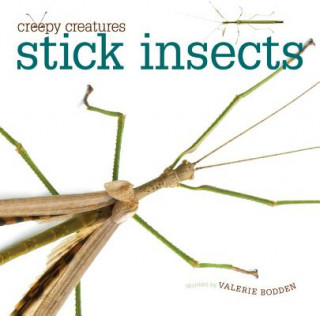 Kniha Stick Insects Valerie Bodden