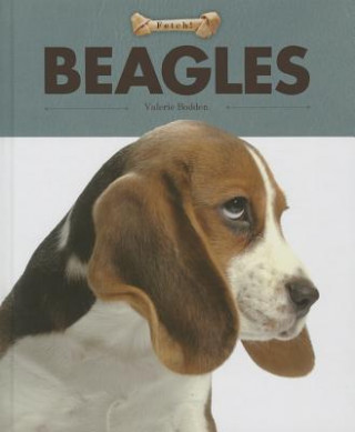 Kniha Beagles Valerie Bodden