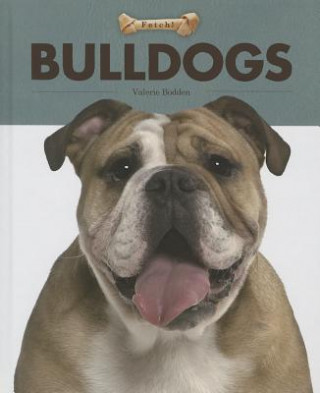 Kniha Bulldogs Valerie Bodden