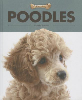 Kniha Poodles Valerie Bodden