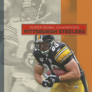 Kniha Pittsburgh Steelers Aaron Frisch