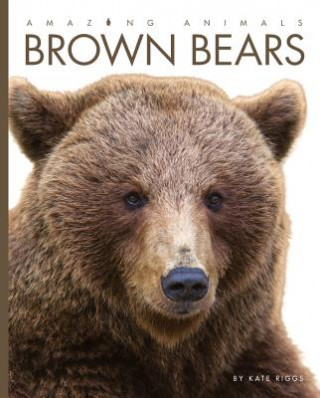 Carte Amazing Animals Brown Bears Kate Riggs