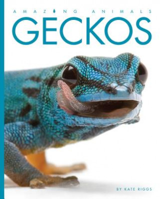 Buch Amazing Animals Geckos Kate Riggs