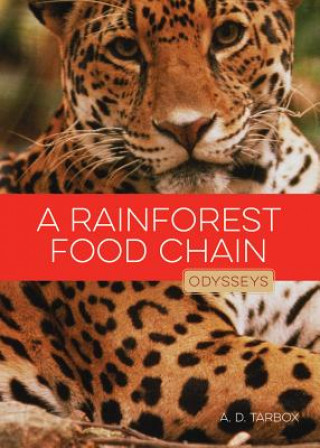 Könyv A Rainforest Food Chain A. D. Tarbox
