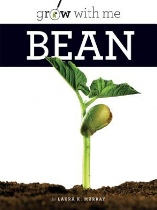 Buch Bean Laura K. Murray