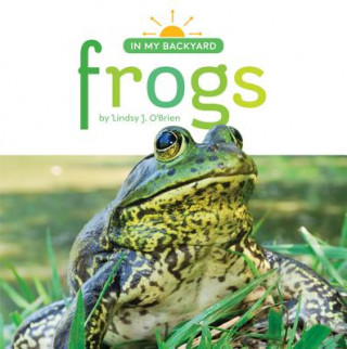 Carte Frogs Lindsy O'Brien