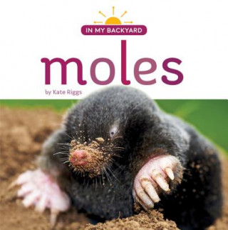 Knjiga Moles Kate Riggs