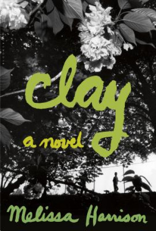 Книга Clay Melissa Harrison