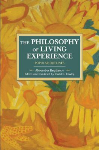 Libro Philosophy Of Living Experience: Popular Outlines David G. Rowley