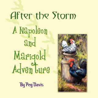 Kniha After the Storm Peg Davis