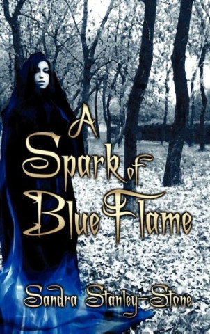 Carte A Spark of Blue Flame Sandra Stanley-Stone