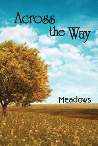 Knjiga Across the Way: Meadows Eber &. Wein