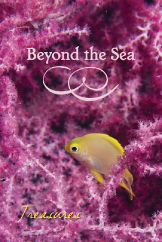 Kniha Beyond the Sea: Treasures Eber &. Wein