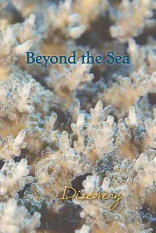 Book Beyond the Sea: Discovery Eber &. Wein