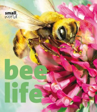 Kniha Bee Life Lynette Evans