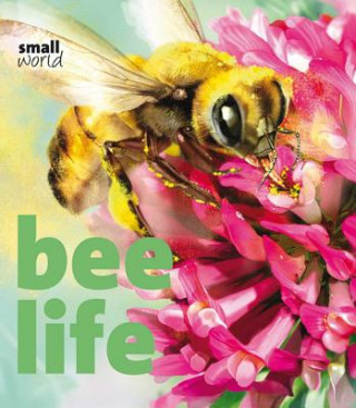 Knjiga Bee Life Lynette Evans